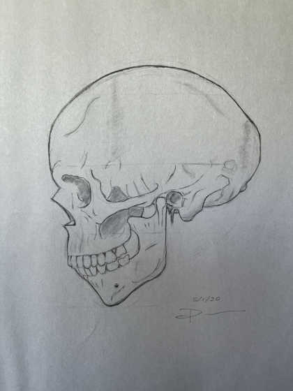 Pencil Drawing-skull